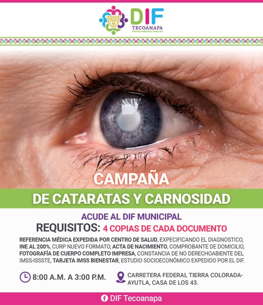 La imagen no pudo ser
                            mostrada