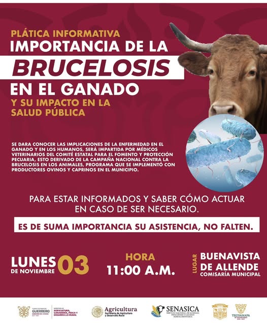 Plática Informativa sobre Brucelosis en el Ganado