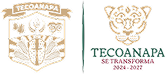 Logotipo del Gobierno de Tecoanapa