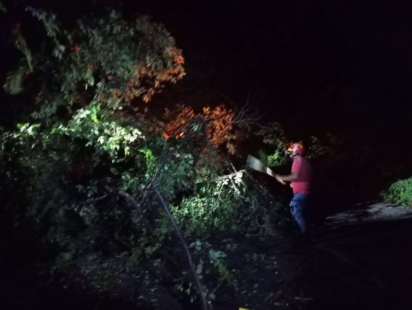 La imagen de la noticia no pudo ser
                  cargada