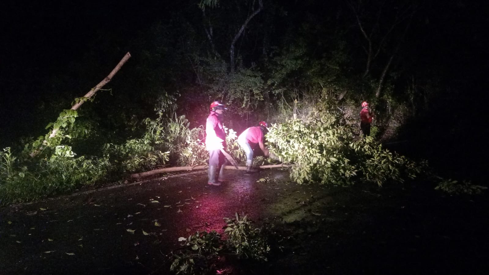 La imagen de la noticia no pudo ser
cargada