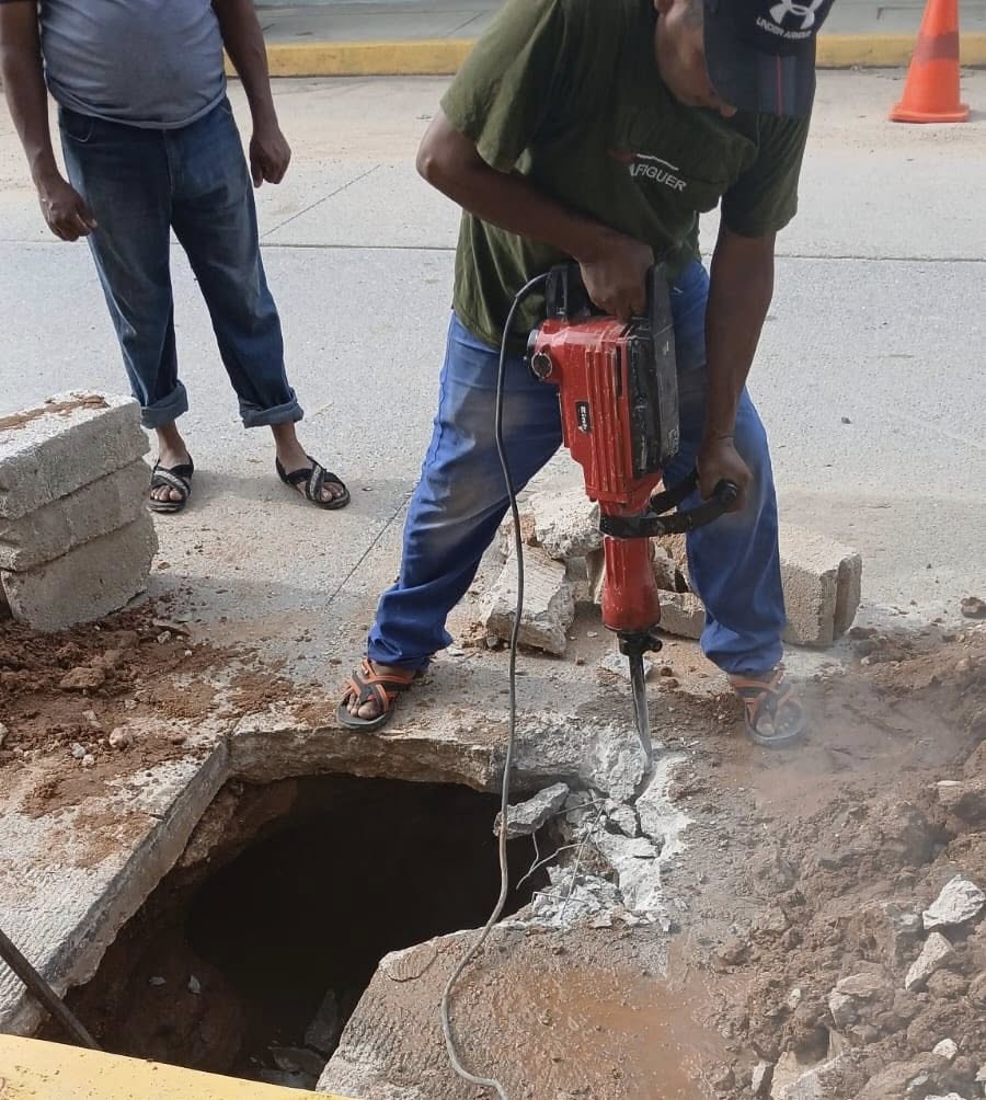 La imagen no pudo ser cargada