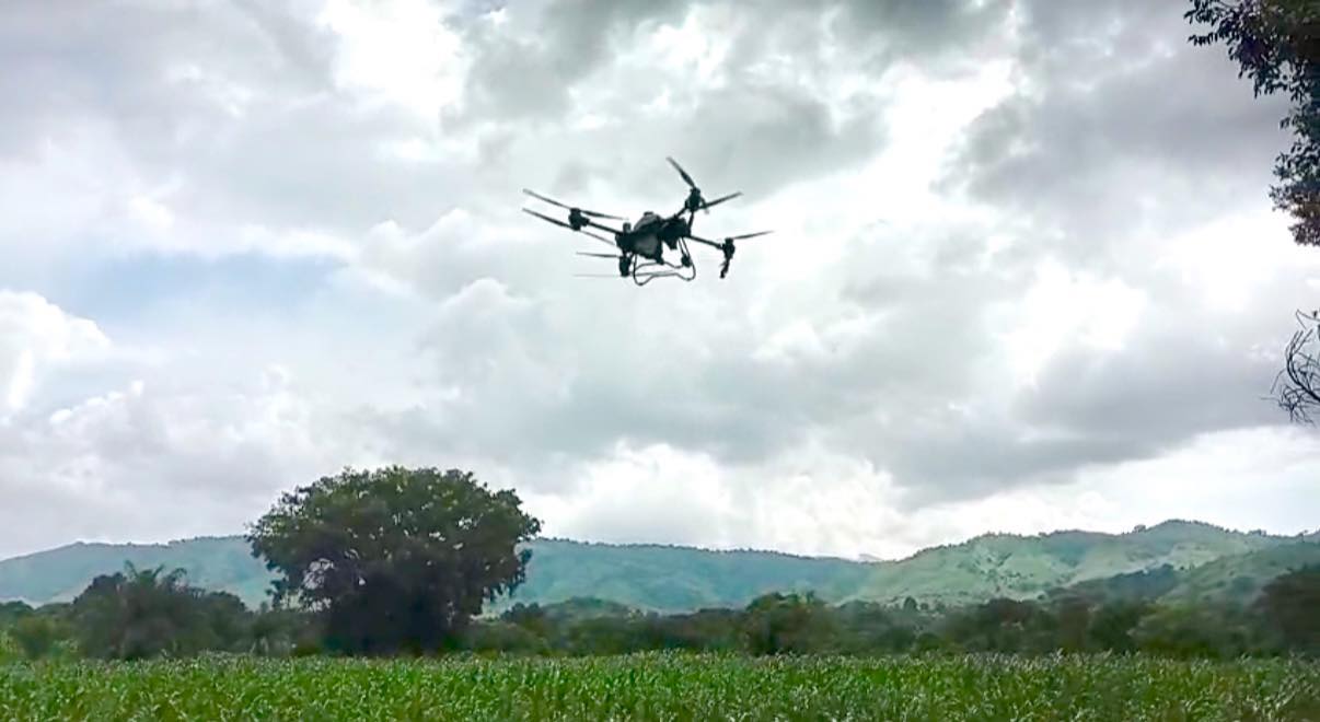 La imagen de la noticia no pudo ser
                  cargada