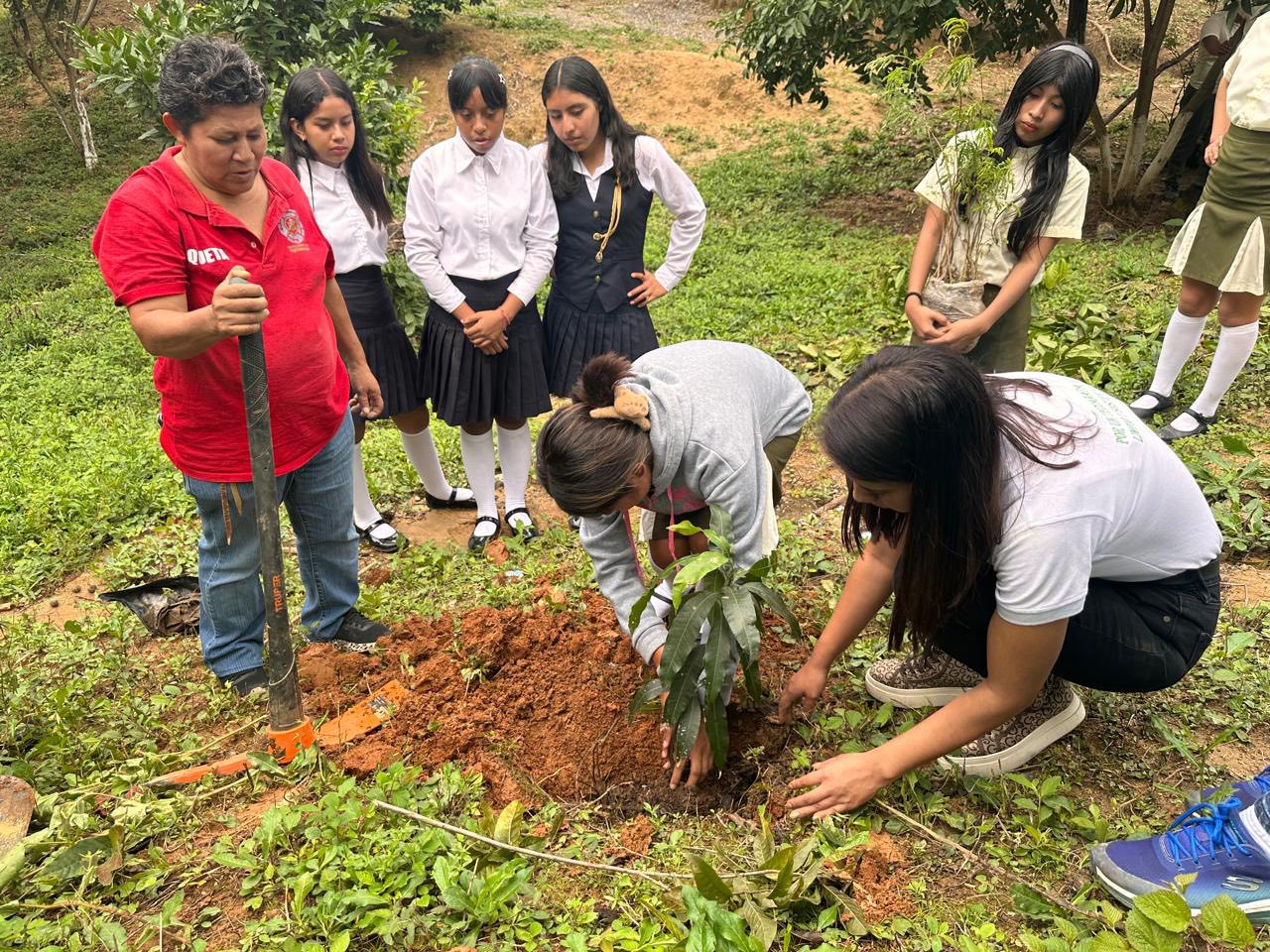 La imagen de la noticia no pudo ser
                  cargada