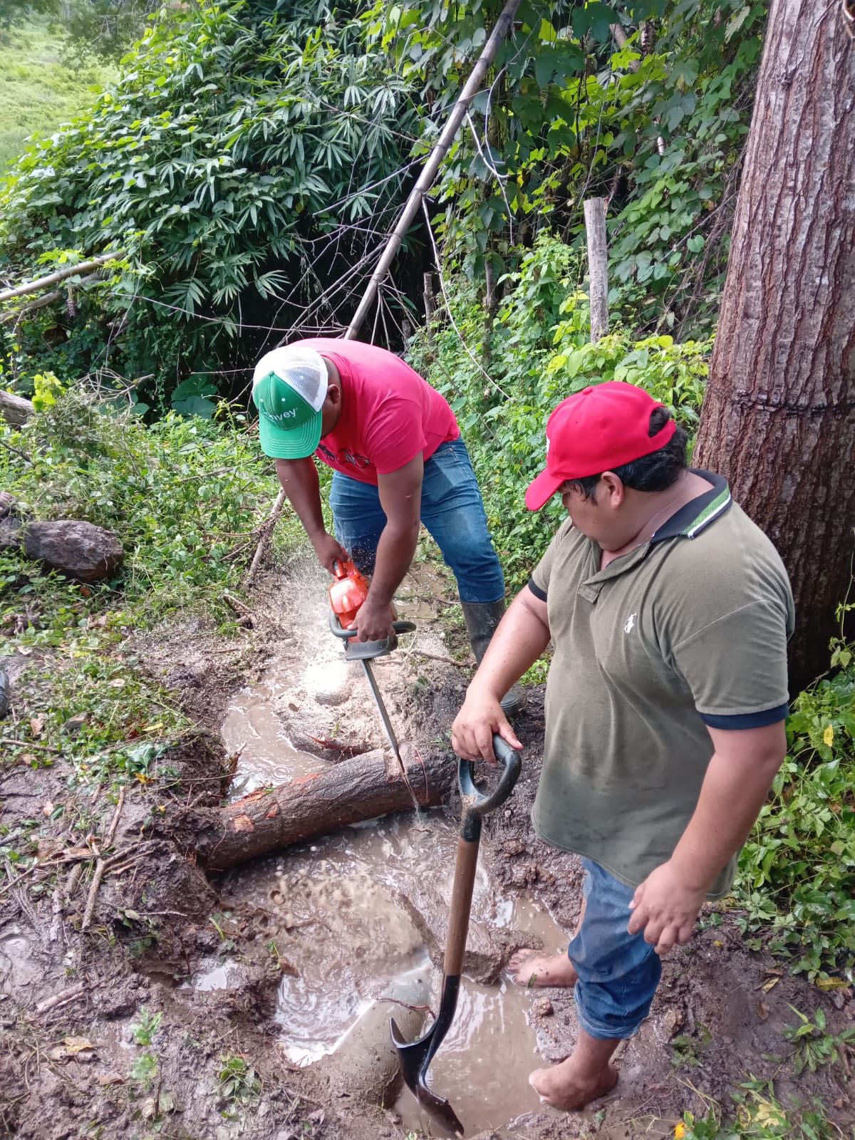 La imagen de la noticia no pudo ser
                  cargada