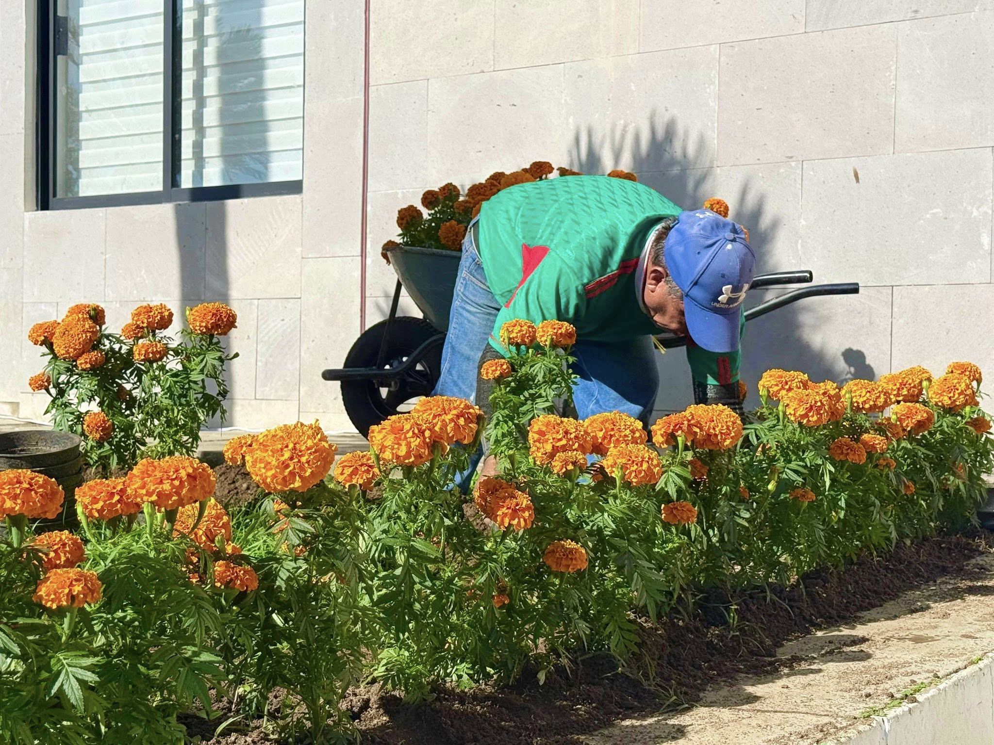 La imagen de la noticia no pudo ser
                  cargada