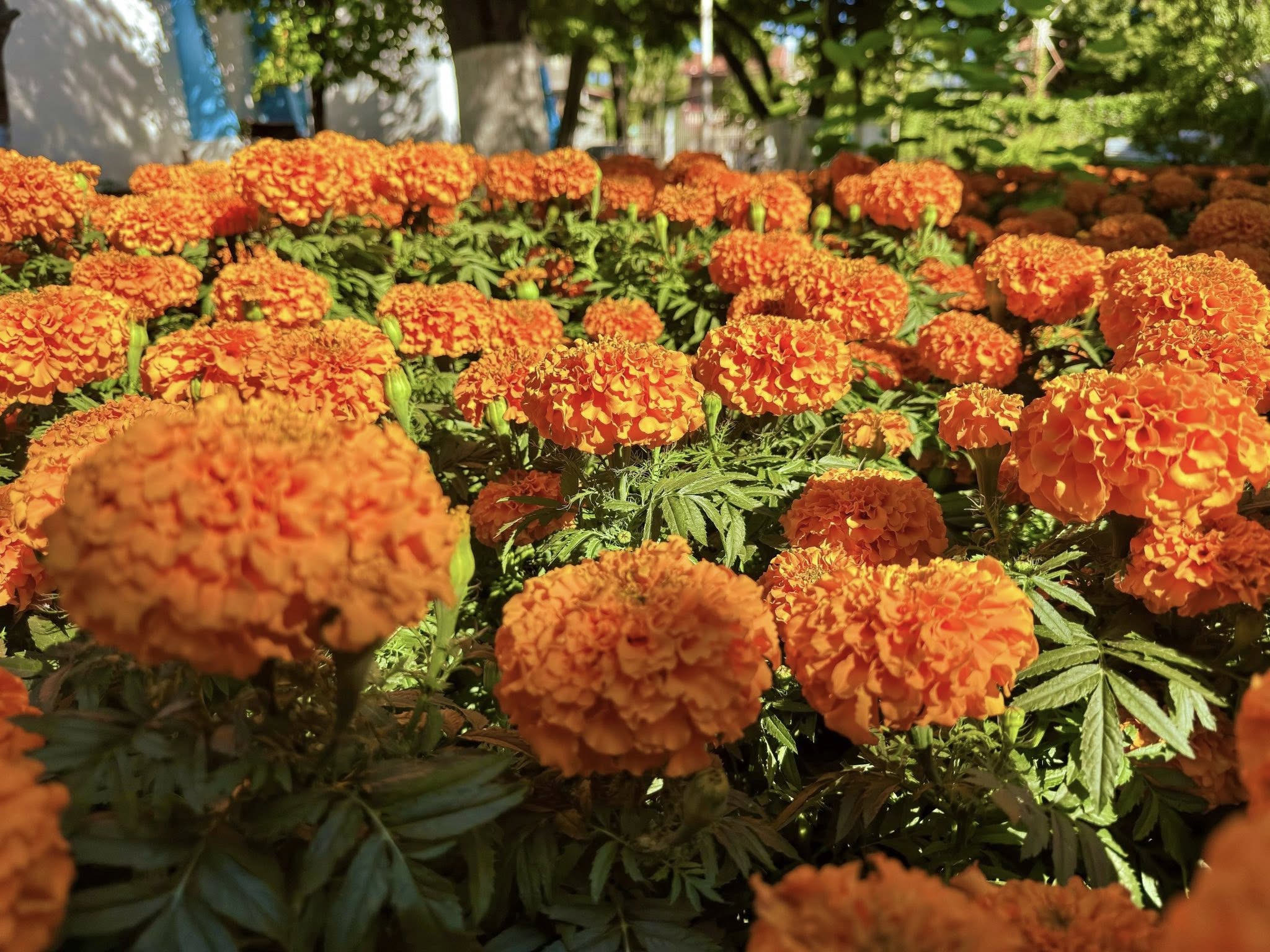 La imagen de la noticia no pudo ser
                  cargada