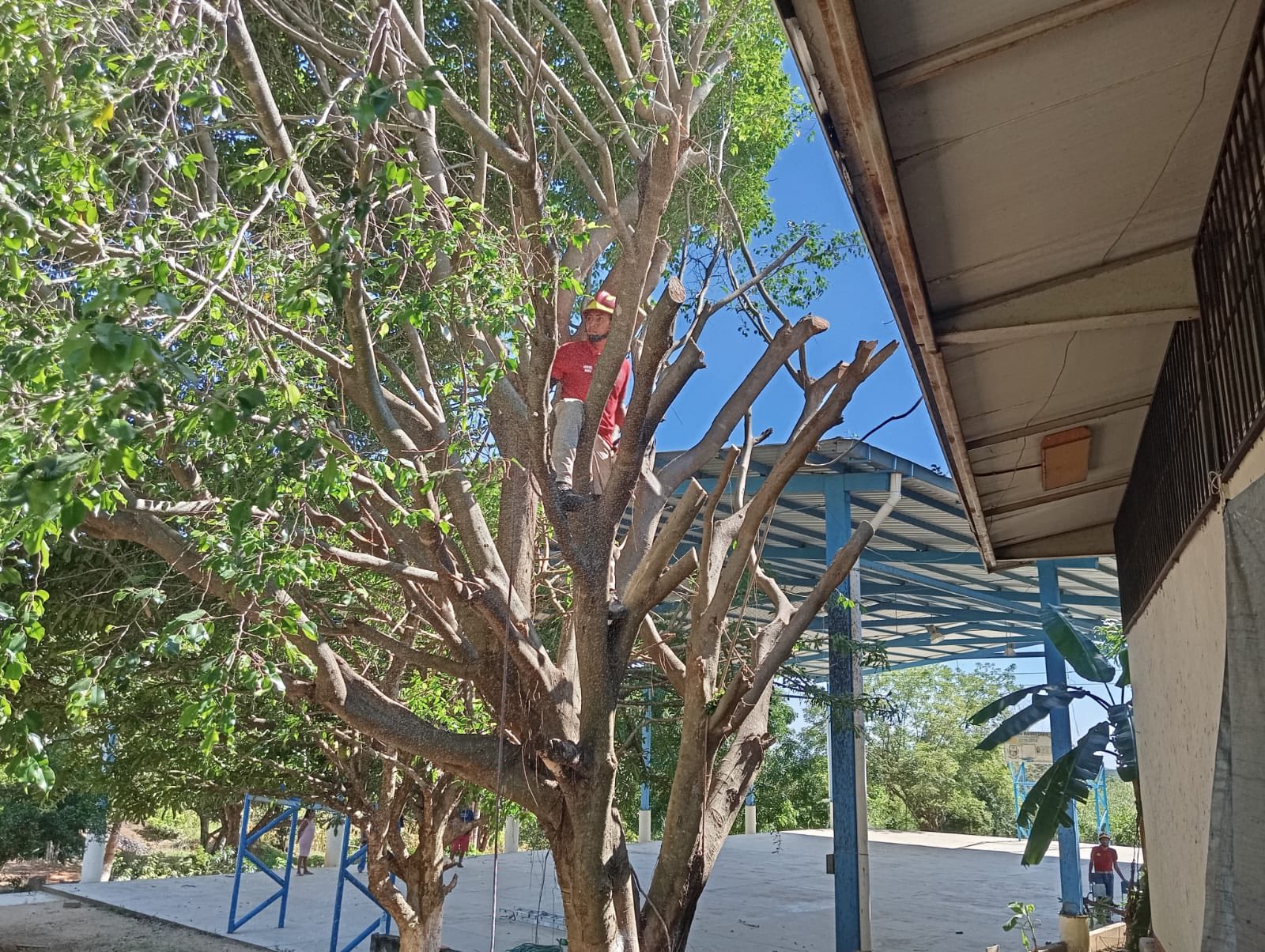 La imagen de la noticia no pudo ser
                  cargada