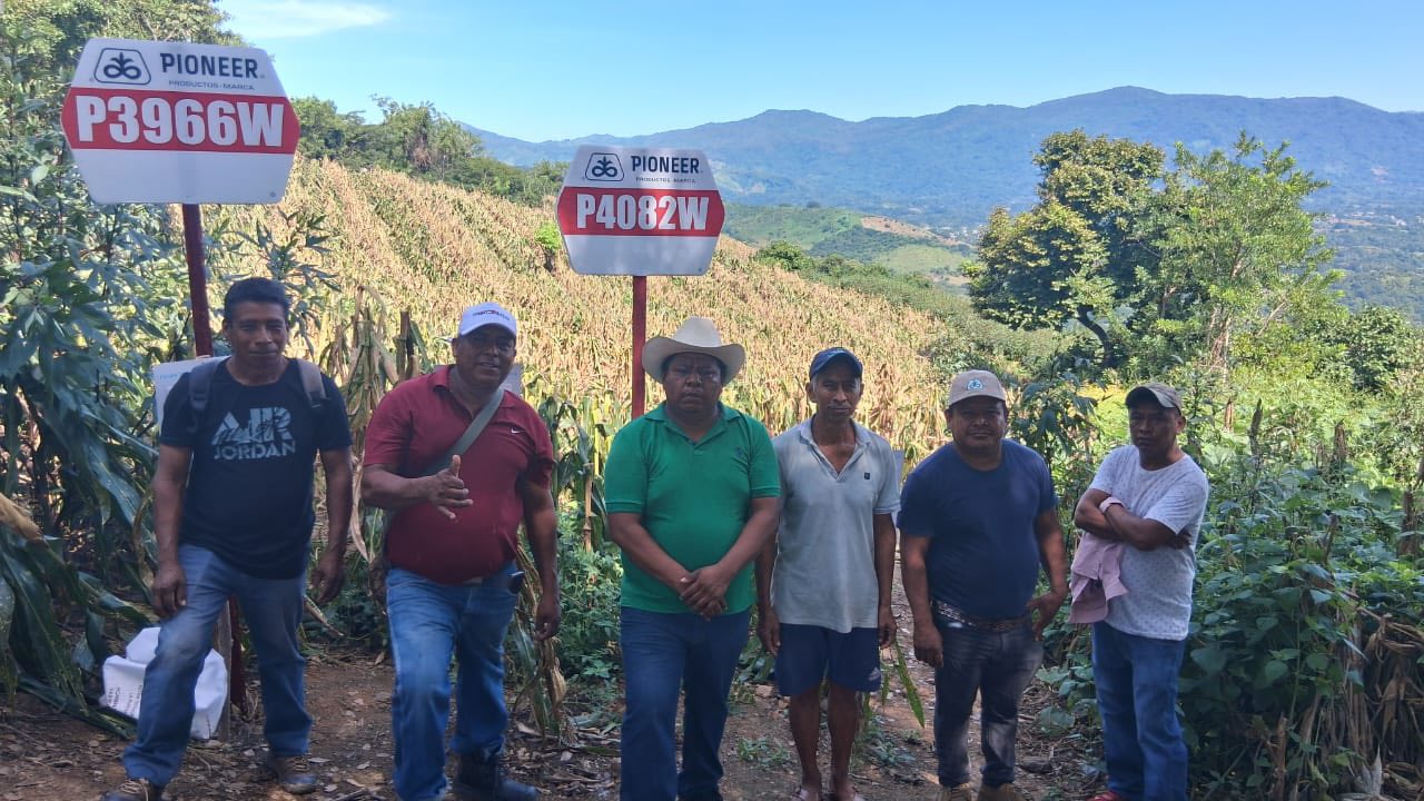 La imagen no pudo ser cargada