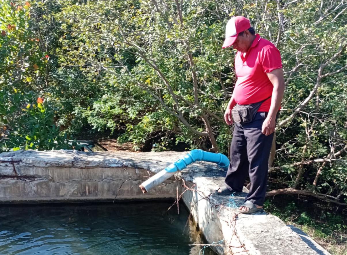 La imagen de la noticia no pudo ser
                  cargada